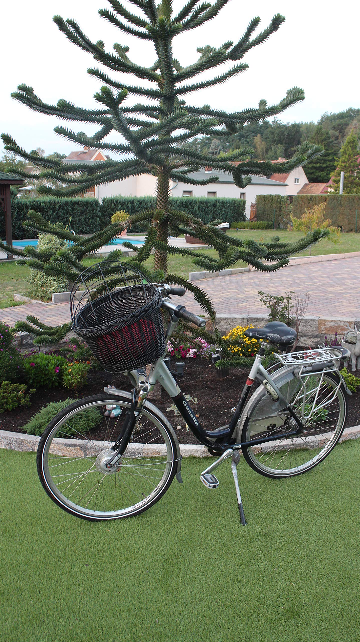 Hundefahrradkorb für Fahradlenker aus Weide in Schwarz mit Metallgitter und Kissen Verschiedene Größen Lenkrad Weidenkorb Hundekorb Lenkerkorb Einkaufskorb Natur (XXL ohne Kissen)
