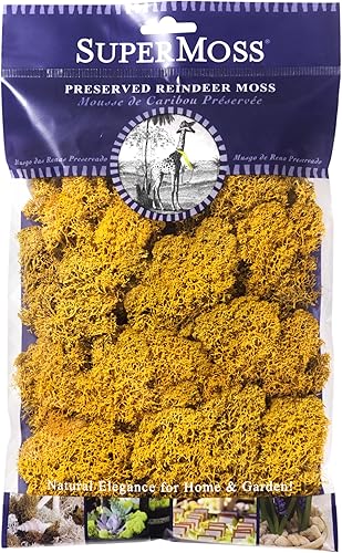 Miniatura 26 de SuperMoss (21710) Musgo de Reno Conservado, Verde Bosque, 1.36kg