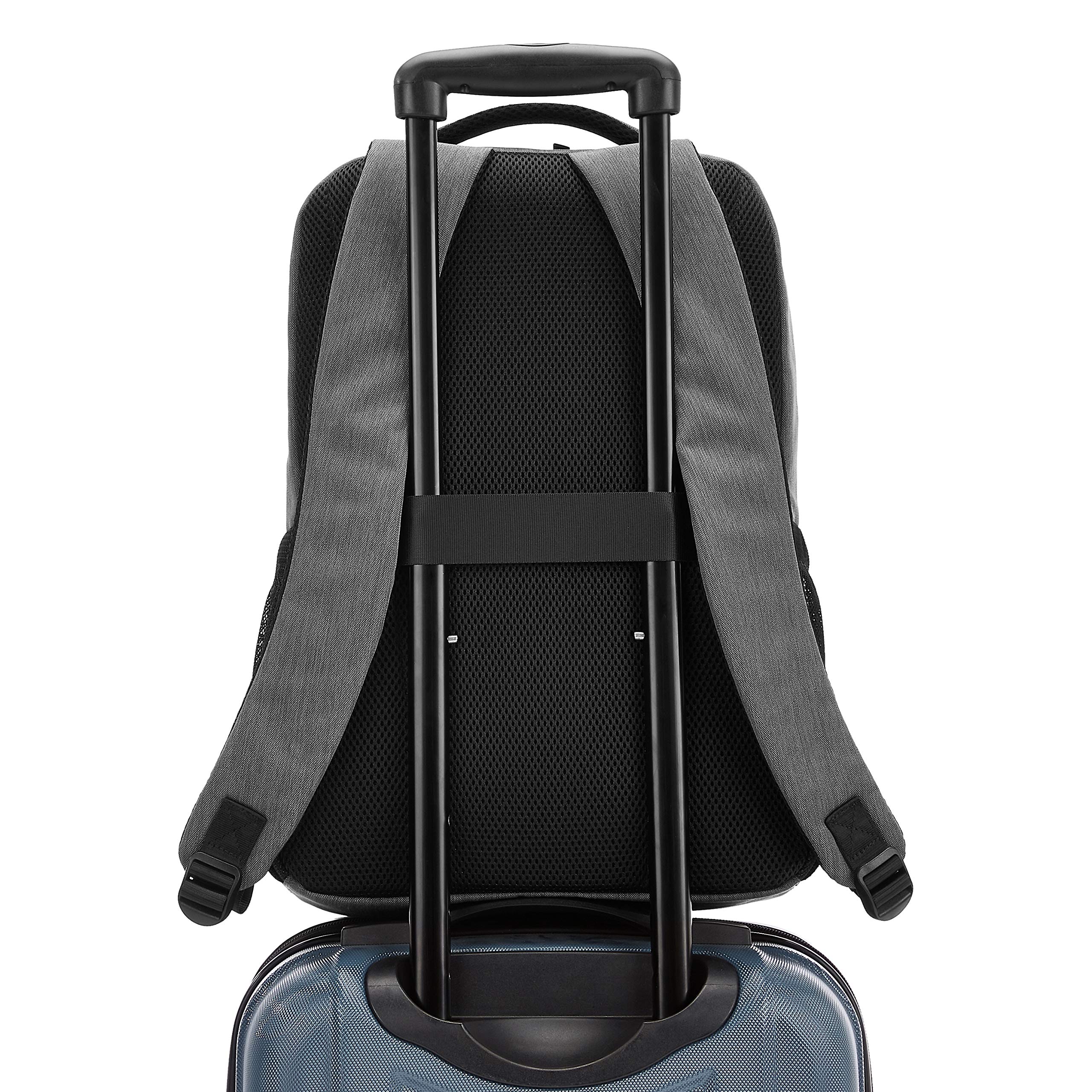 amazonbasics 15.6 laptop backpack professional - grey Amazon Basics 15 6 Gray Can Super-Sized Aquarium Bubblers Color:#5 - Tan Black Top/White Bottom Check our best seller predator trapping scent