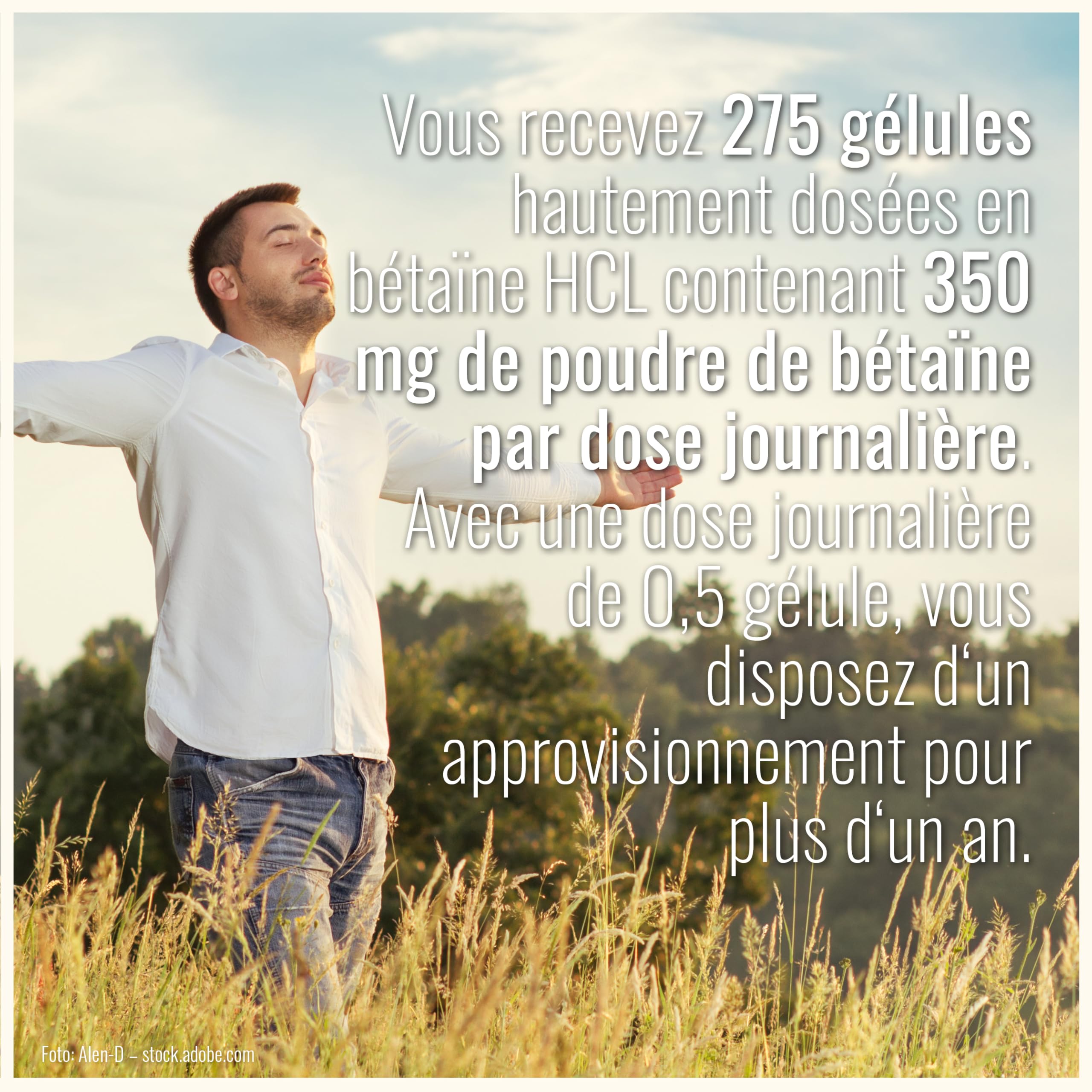 Gélules de bétaïne HCl – 275 gélules – 1400 mg par dose journalière – Bétaïne hydrochloride en poudre sous forme de gélules – Végan