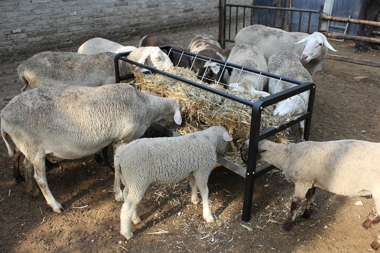 Goat Hay Feeder with Rack, Pasture Hay Grain Feeder for Goats, 59 in Long Outdoor Hay Rack Feeder 2 in 1 with All Steel Frame for Goat,Sheep, Horse, Small Livestock