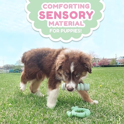Vista 5 de Nylabone Material sensorial calmante para cachorros, juguete masticable, juguetes para cachorros de dentición, sabor a mantequilla de maní, pequeño