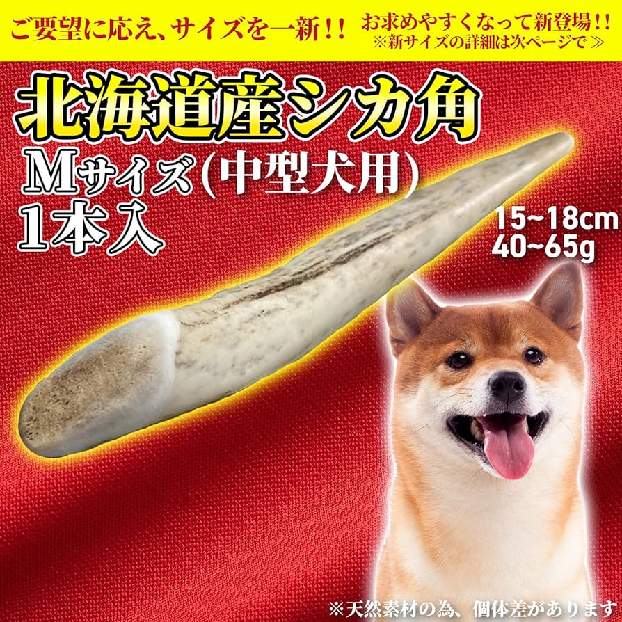 Amazon.co.jp: +One way 【長持ち】鹿の角 レギュラー Mサイズ(中型犬 Amazon.co.jp: +One way 【長持ち】鹿の角 レギュラー Mサイズ(中型犬