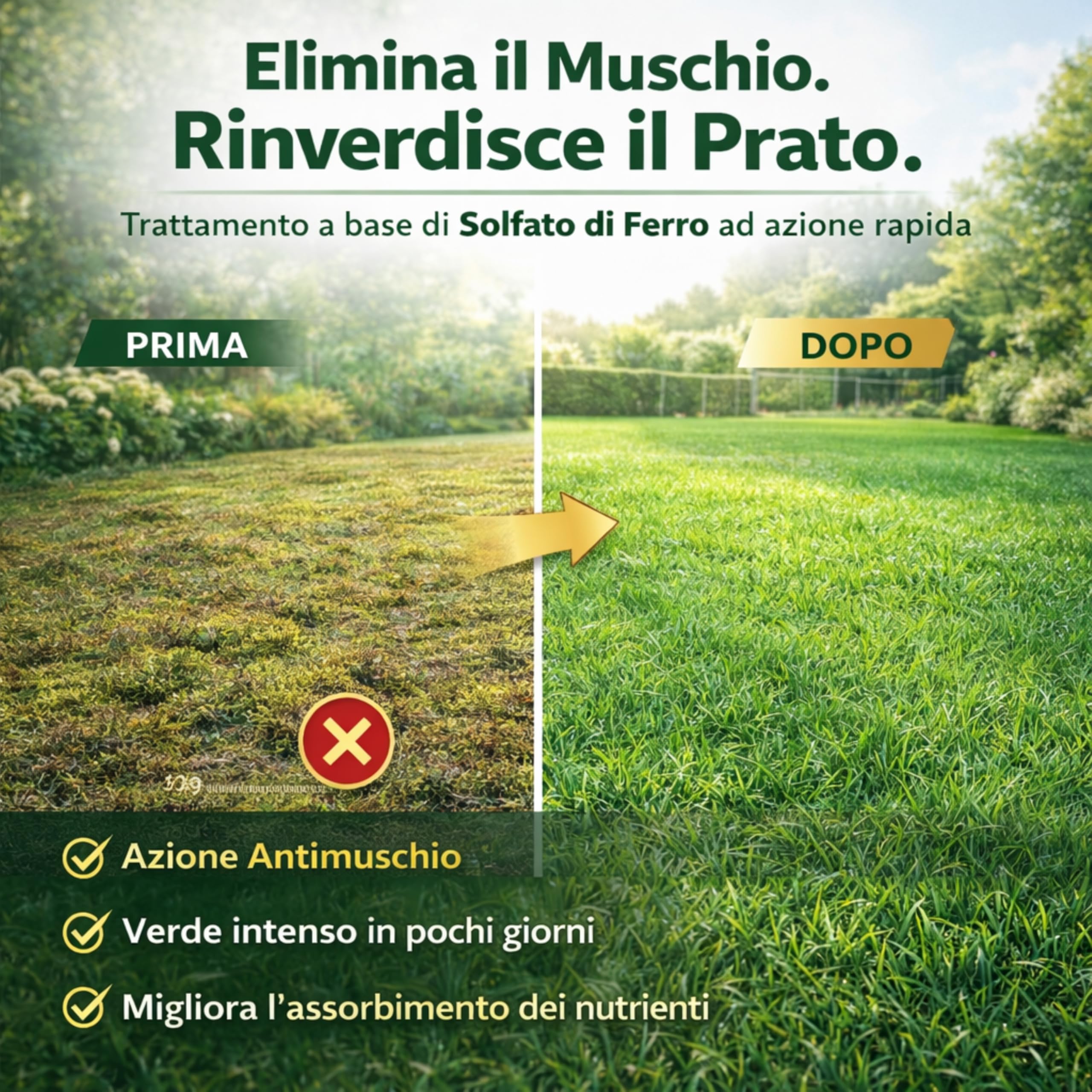 AGRI-CULTURA® | Solfato di Ferro per Prato 100m² | Antimuschio e Rinverdente Prato | Solfato Ferroso Ideale per Contrastare Ingiallimenti e Clorosi Ferrica.