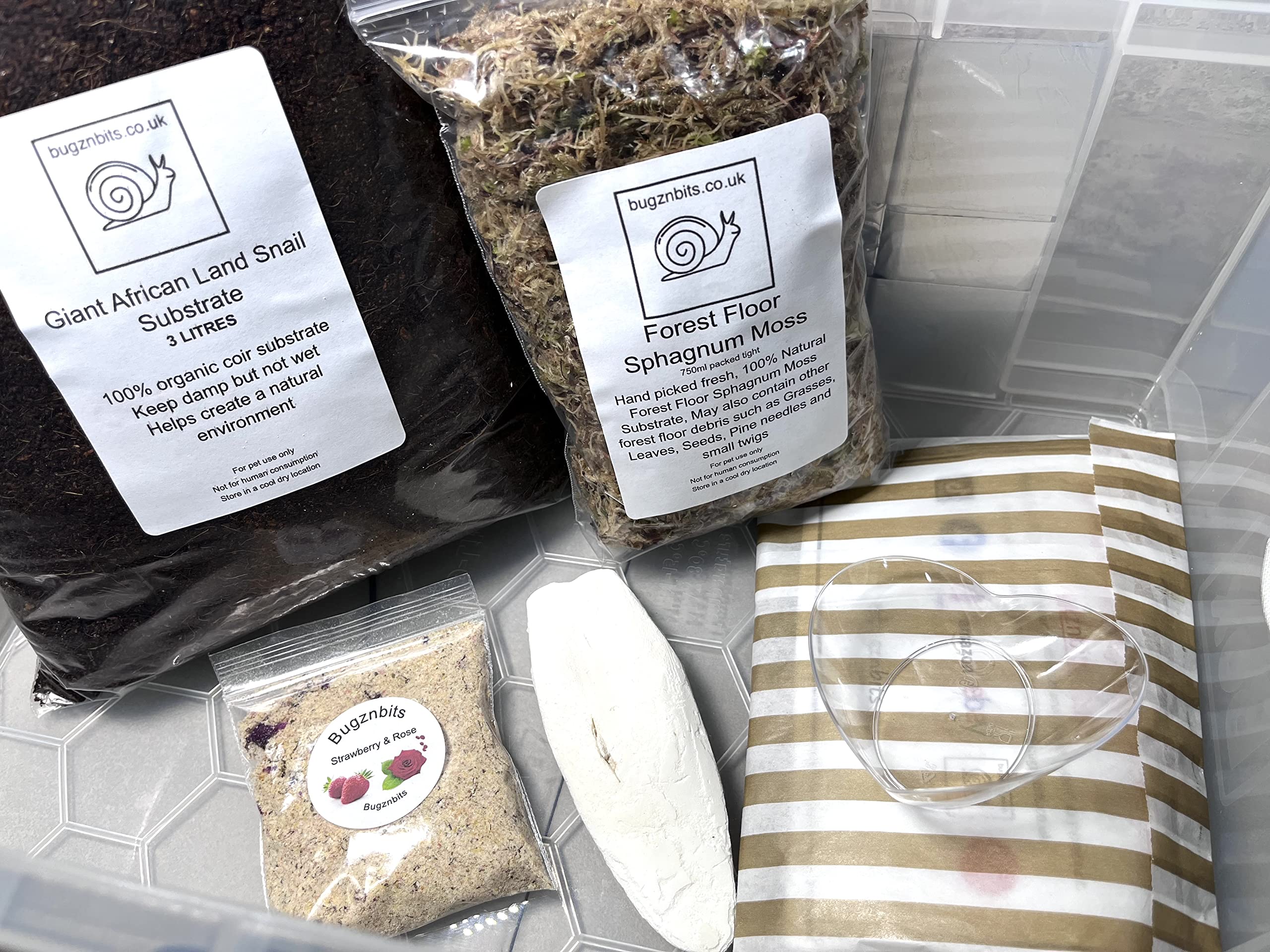 TTAMG Bugznbits Land Snail Starter Tank Enclosure, 9L, Glass or