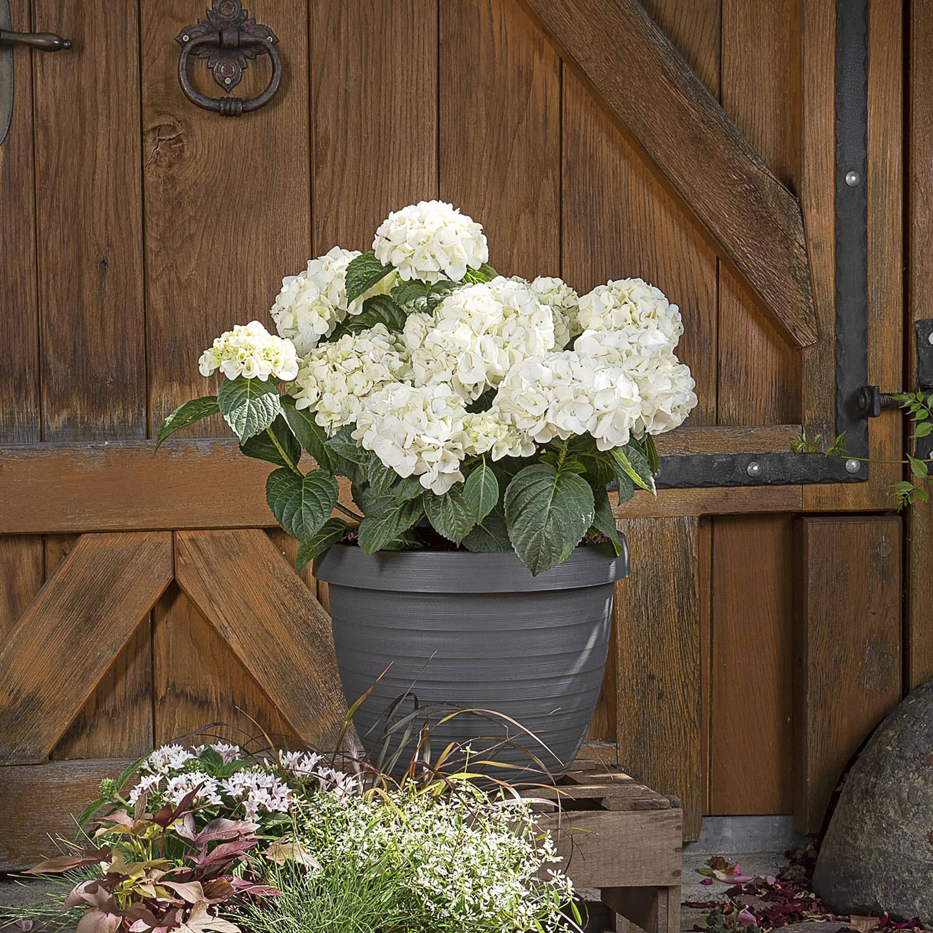 Scheurich 3er Set Blumentöpfe Country Star mit Untersetzern, Grau, Ø 39 cm, H 30 cm