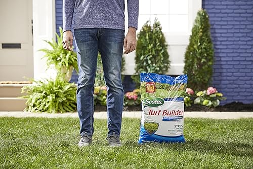 Miniatura 14 de Scotts Turf Builder fertilizante para césped - Con repelente para crabgrass HALTS