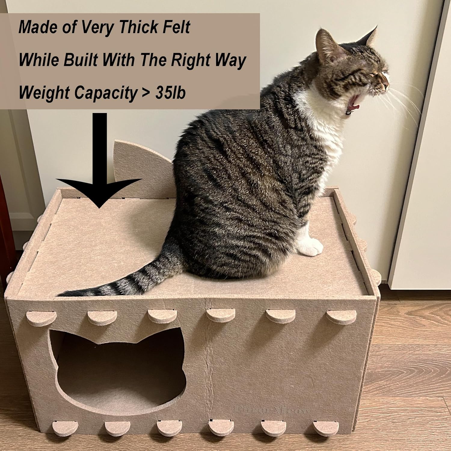 Cat House Cat Ear Design, Large Spacious Cozy Indoor Cat Bed Cave, Scratch Resistant Strong Thick Premium Felt Condo, Fun Hideaway for Multiple Cats, Up to 35LB, 21.5x13x11.6 inches (Beige)