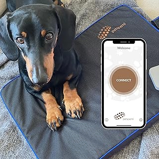 Pet PEMF Therapy Pad — Vet-Approved Pain Relief & Recovery (Large 27.5 x 17.5 x 0.8 in)