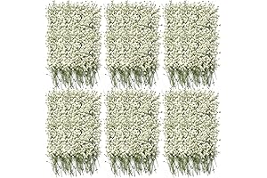 300 Pcs Natural Gypsophila Babys Breath