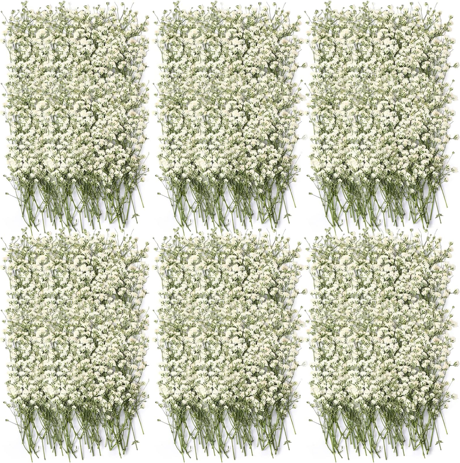 Mini Dried Babys Breath Flowers Pressed Babys Breath for Wedding Invitation DIY