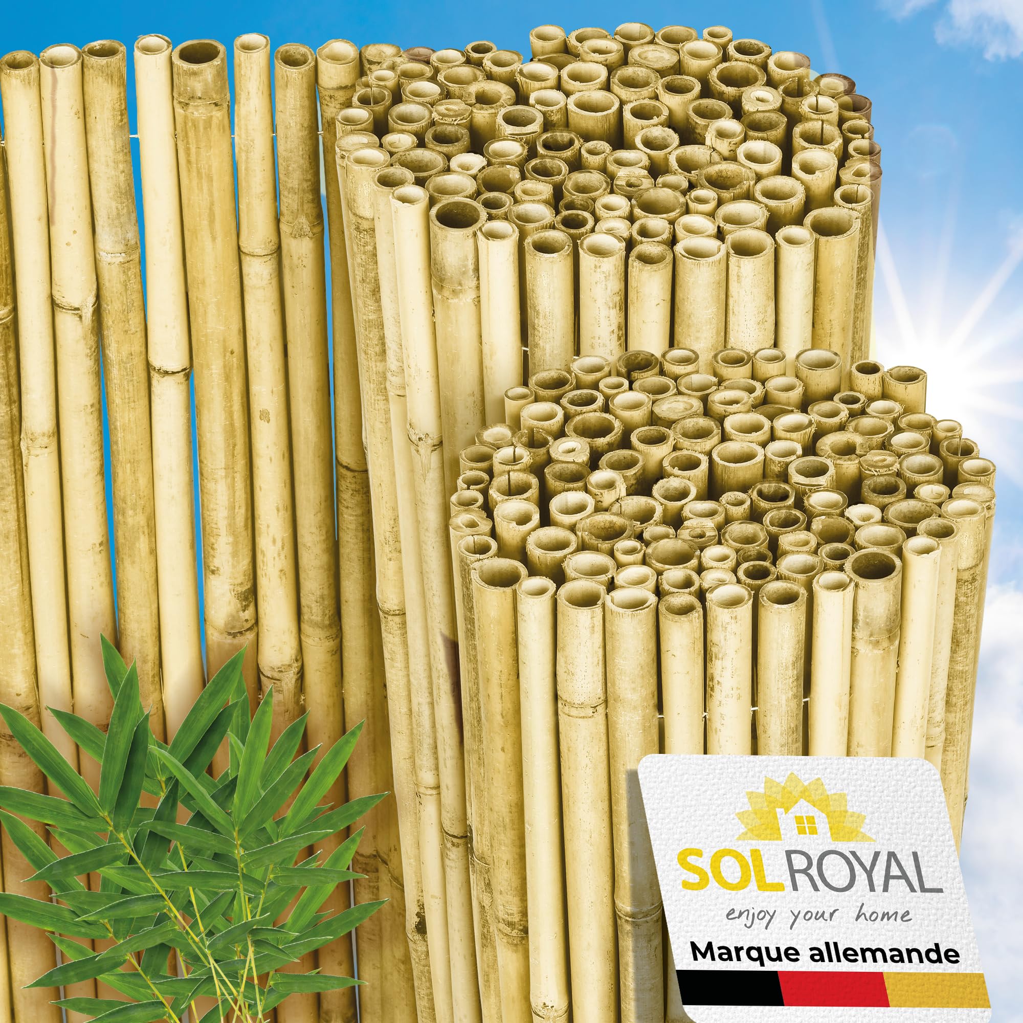 Sol Royal Premium Canisse Brise Vue Bambou Clair Brillant 180x250 cm – Canisse Bambou Balcon Palissade Jardin Exterieur – Cache Brise Vue Balcon 1,8m hauteur Pare Vue Terrasse Extérieur