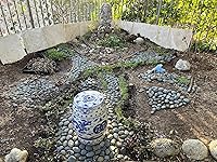 Review Image by KK Bella KK Bella