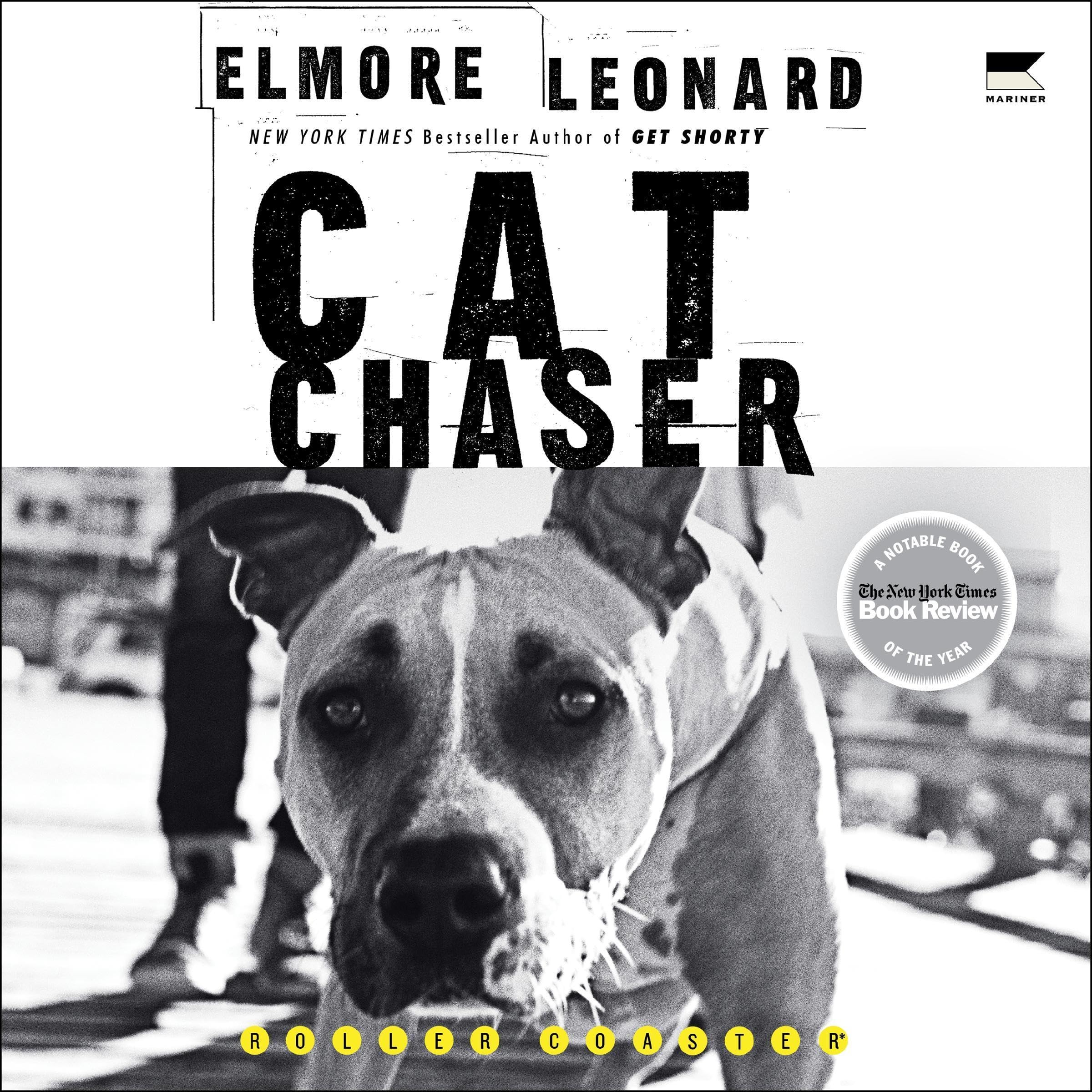 Cover art for Cat Chaser