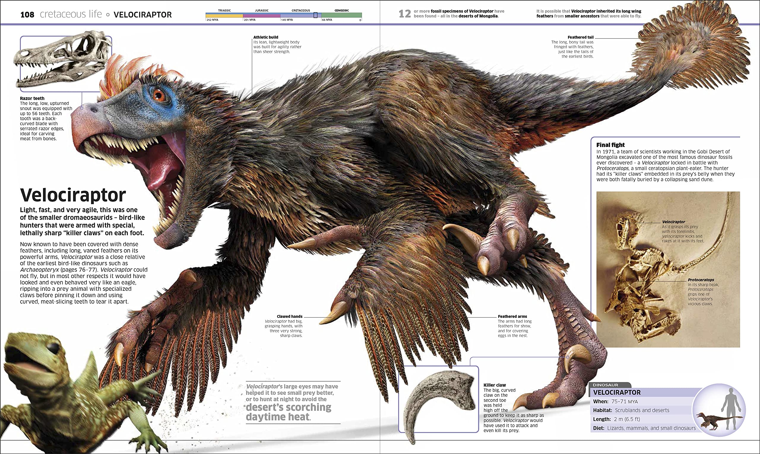 DINOSAURIOS: Más de 60 criaturas prehistóricas como nunca antes las habías visto (Enciclopedia visual juvenil)