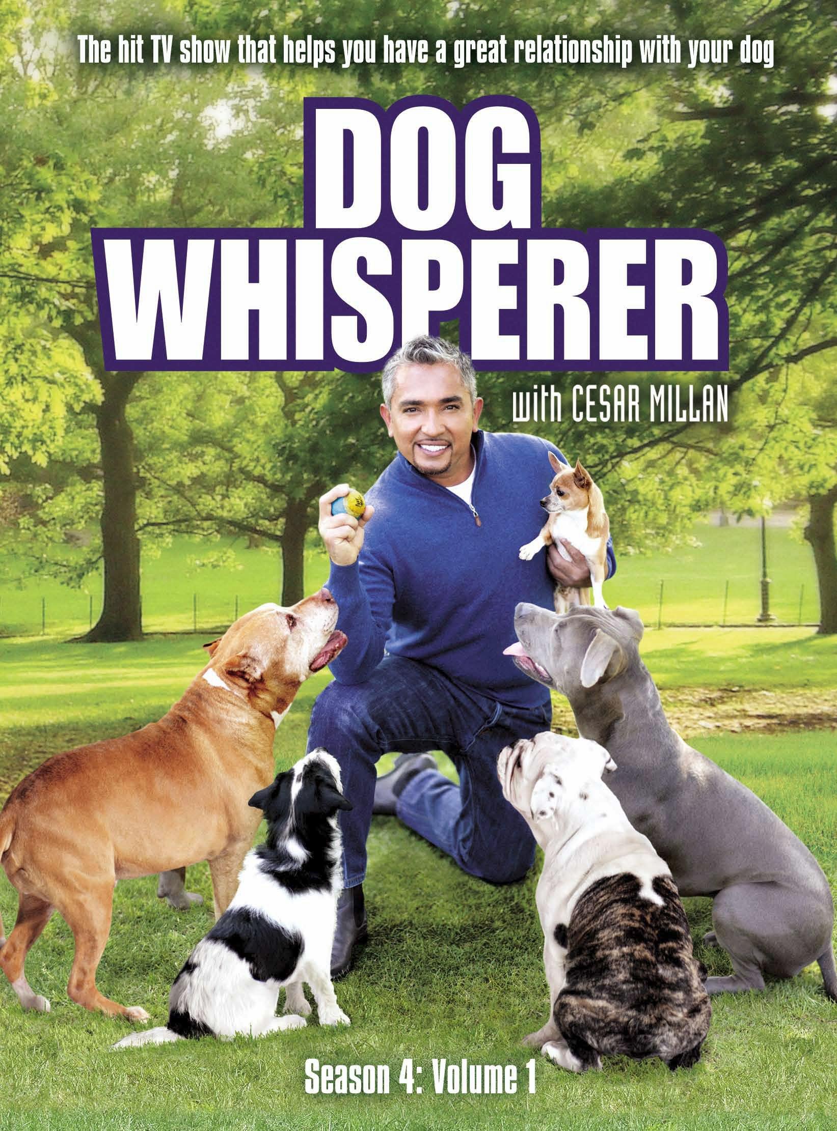 Dog Whisperer With Cesar Millan Season Vol Desertcart INDIA