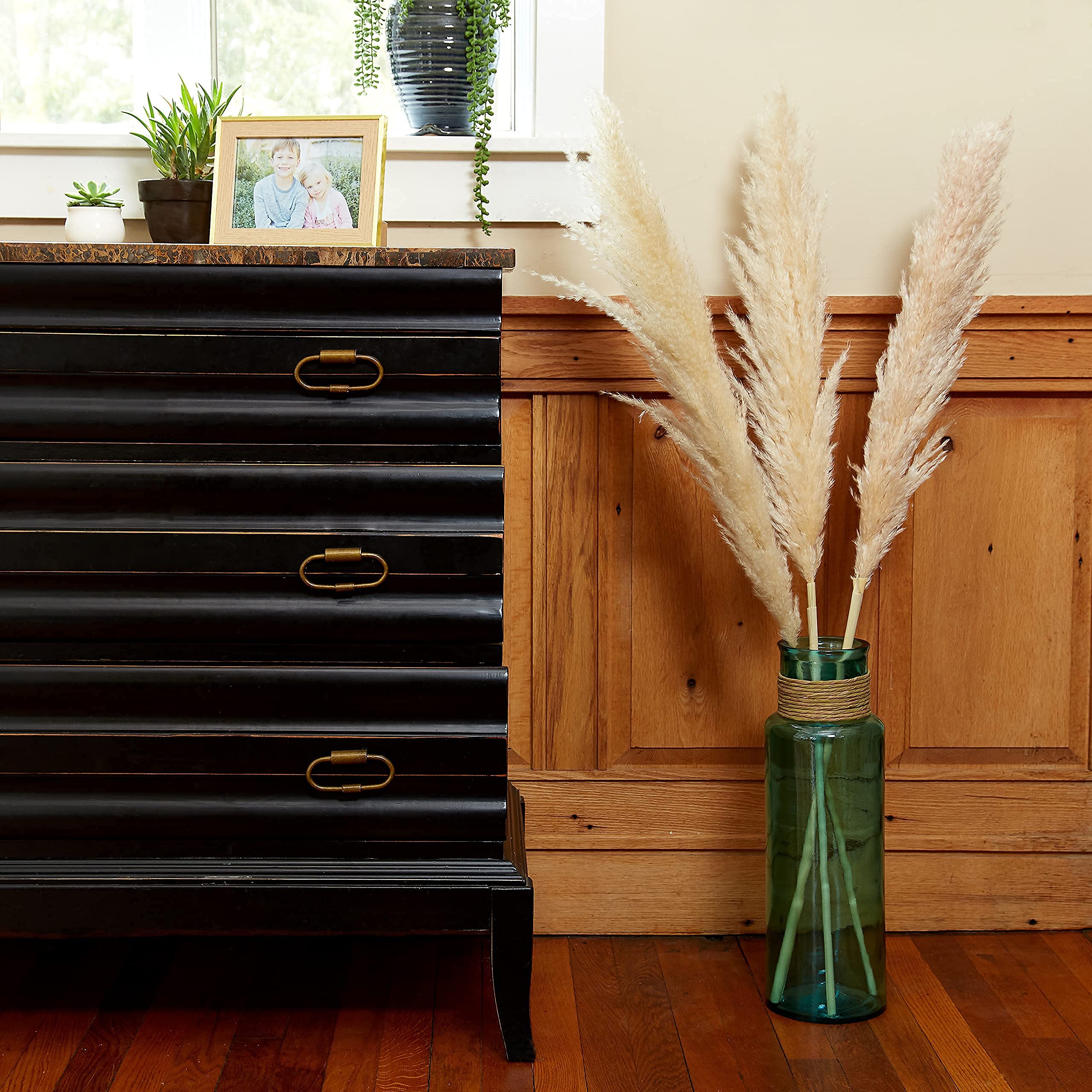 Buy Large Pampas Grass Decor Tall. Pompous Gass and Pompas Grass