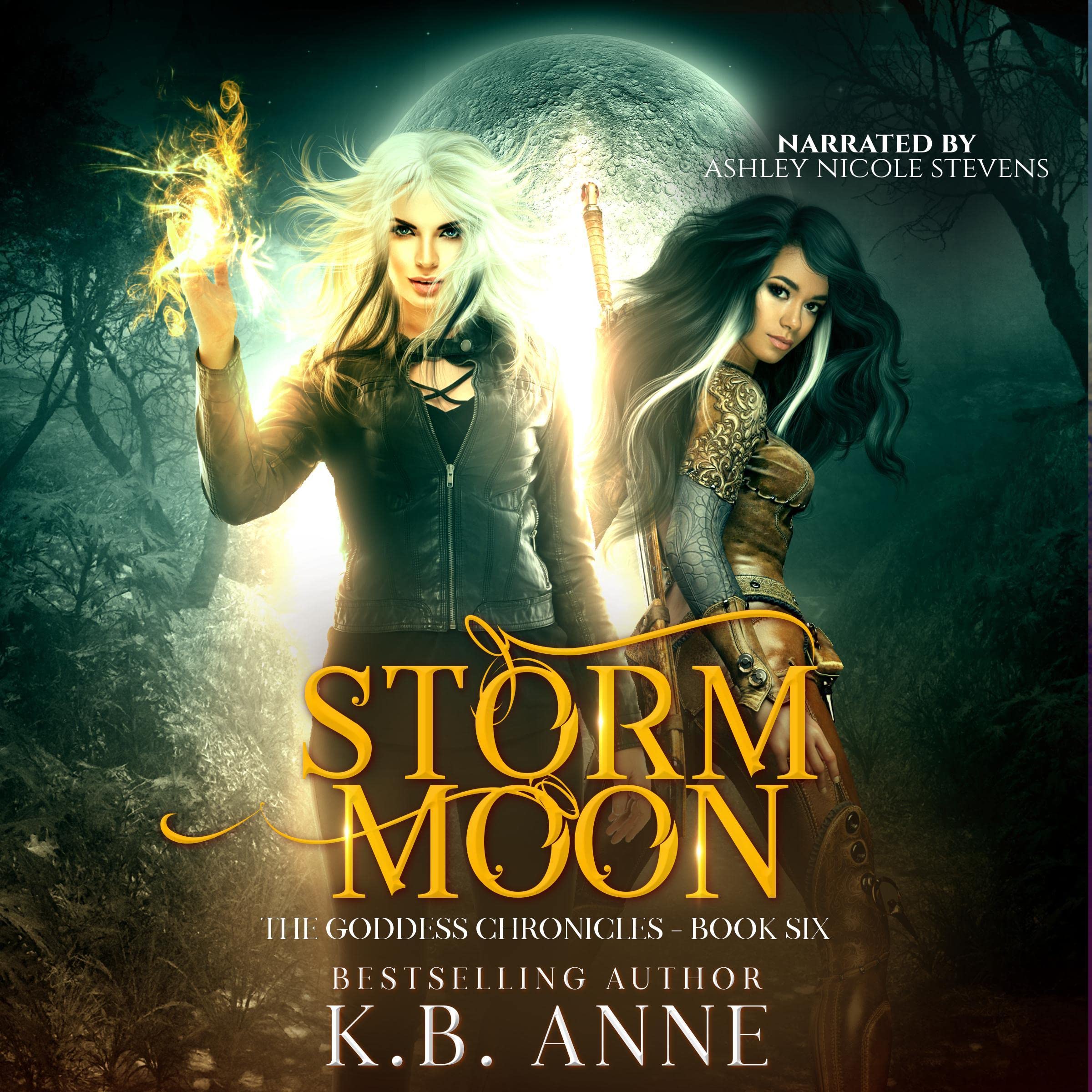 Cover art for Storm Moon