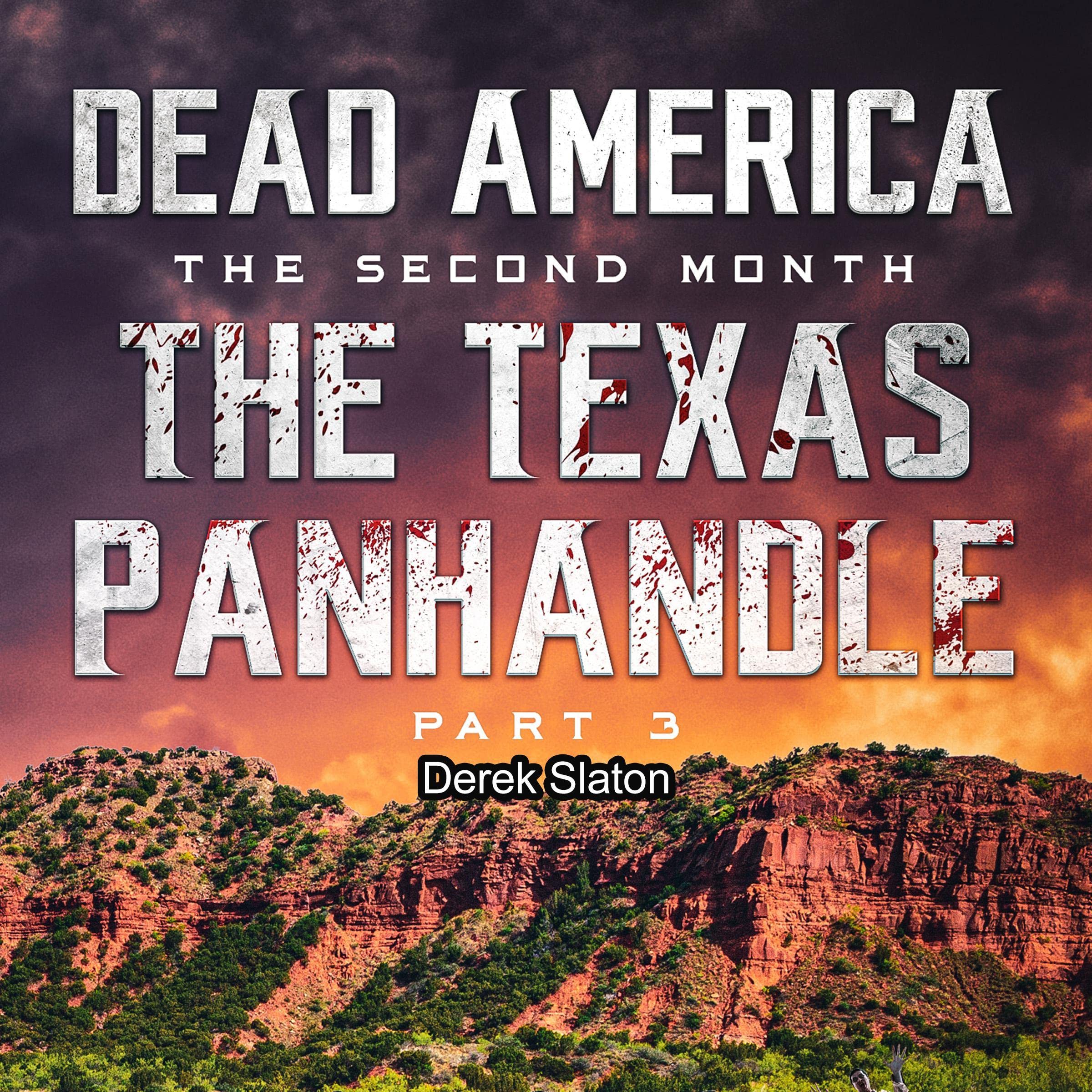 Cover art for Dead America, The Texas Panhandle, Pt. 3