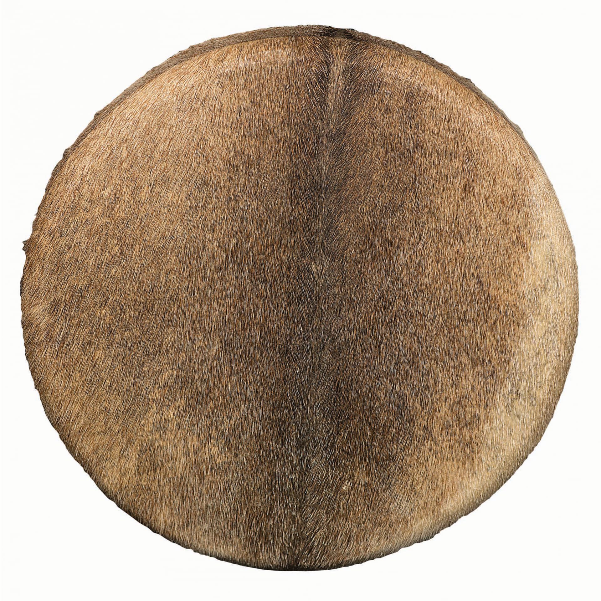 Shamanentrommel Ziegenfell Ø 40 cm mit Griff im Baum Stil Rahmentrommel im mysevendo Set Rund Shaman Drum Goat Skin inkl. Stick