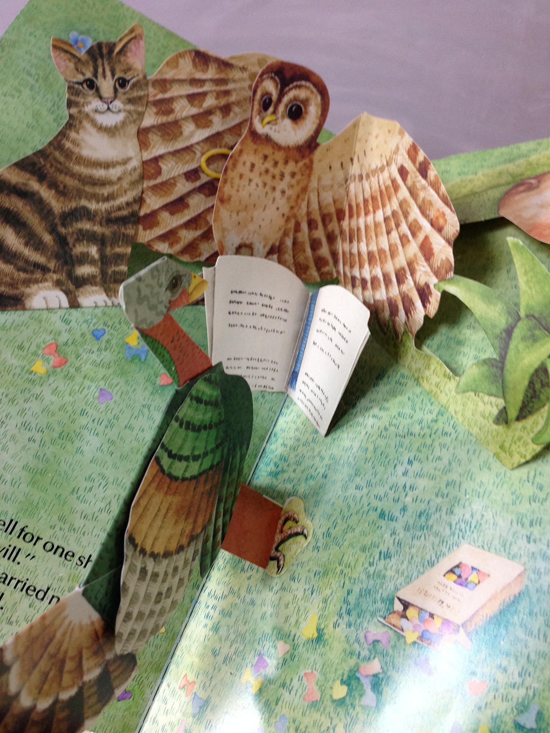 Pop-up Book (A Poetry pop-up book)