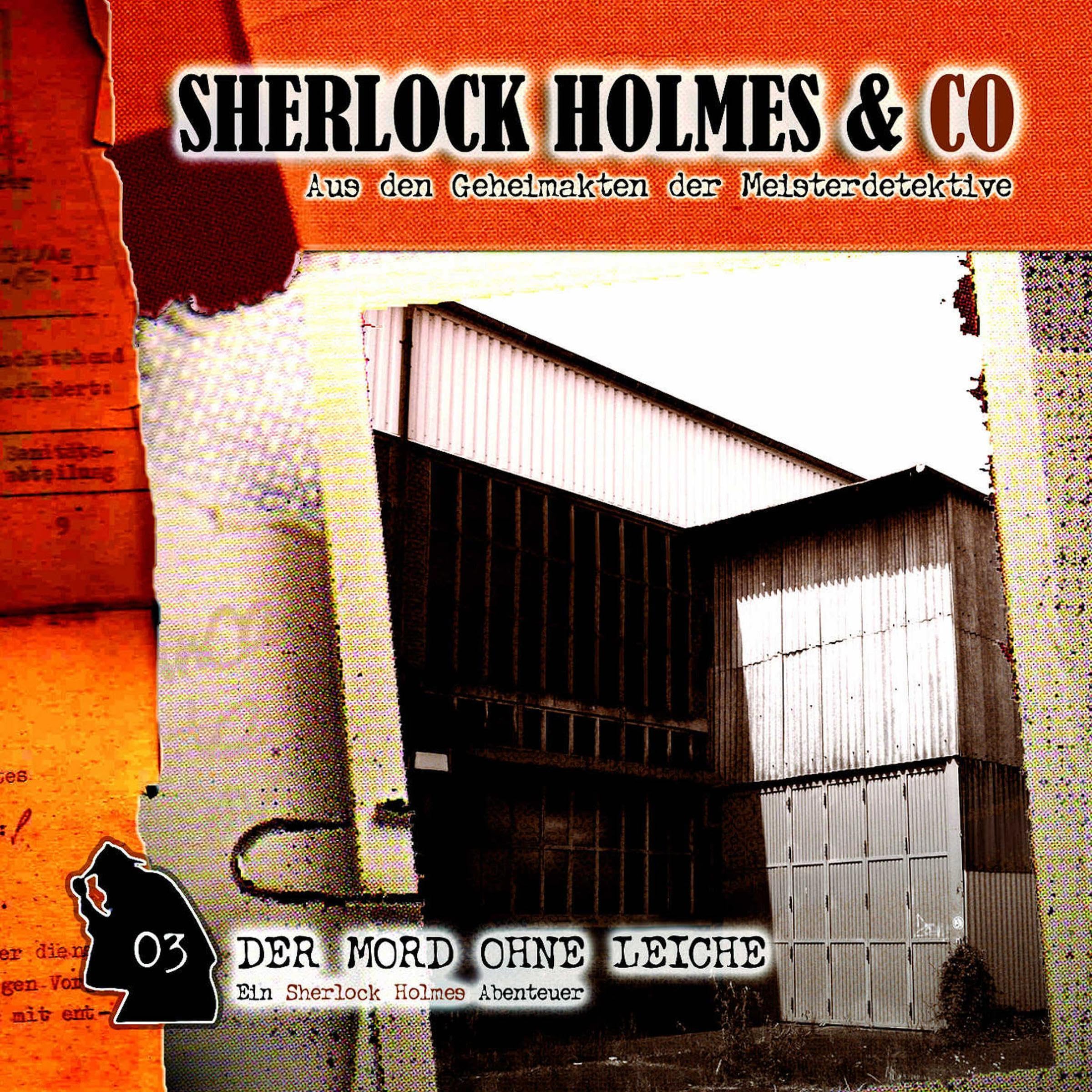 Cover art for Der Mord ohne Leiche