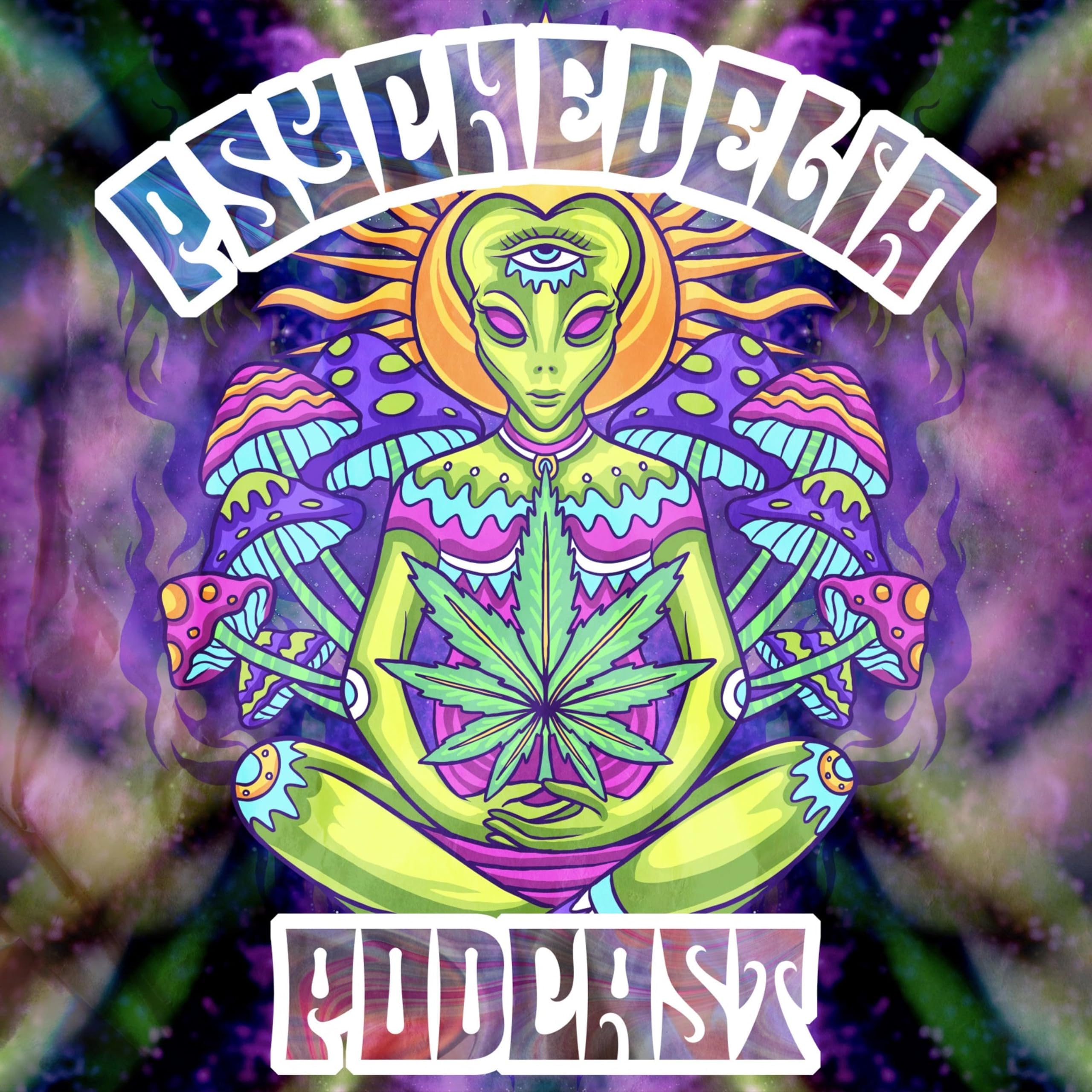 The Psychedelia Podcast
