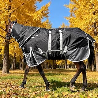 Horse Blanket for Winter | Water-Resistant 1200D 220g Fill | Detachable Hood & Belly Band | 72 Inch, Black & Gray