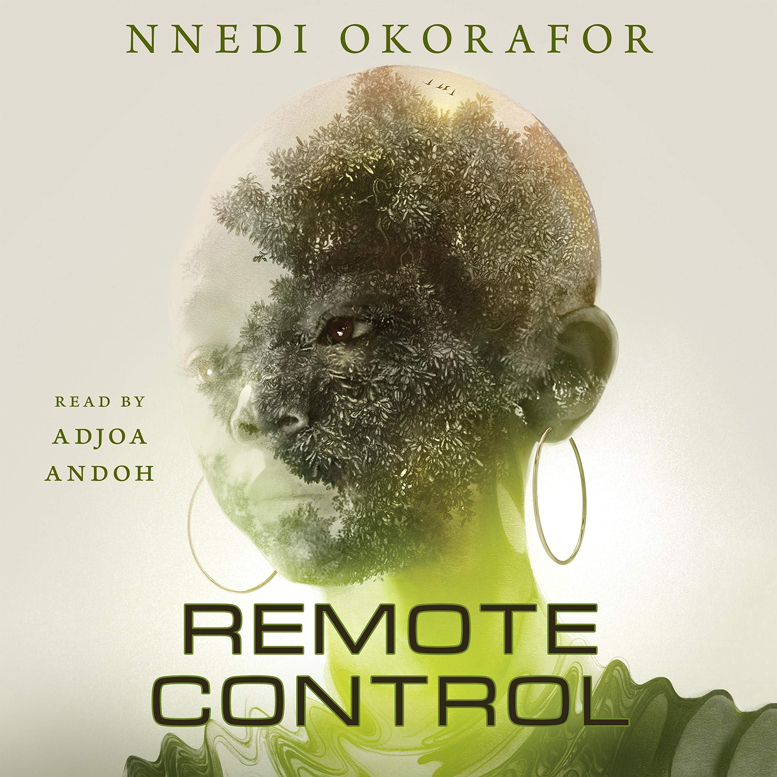 Cover art for Remote Control