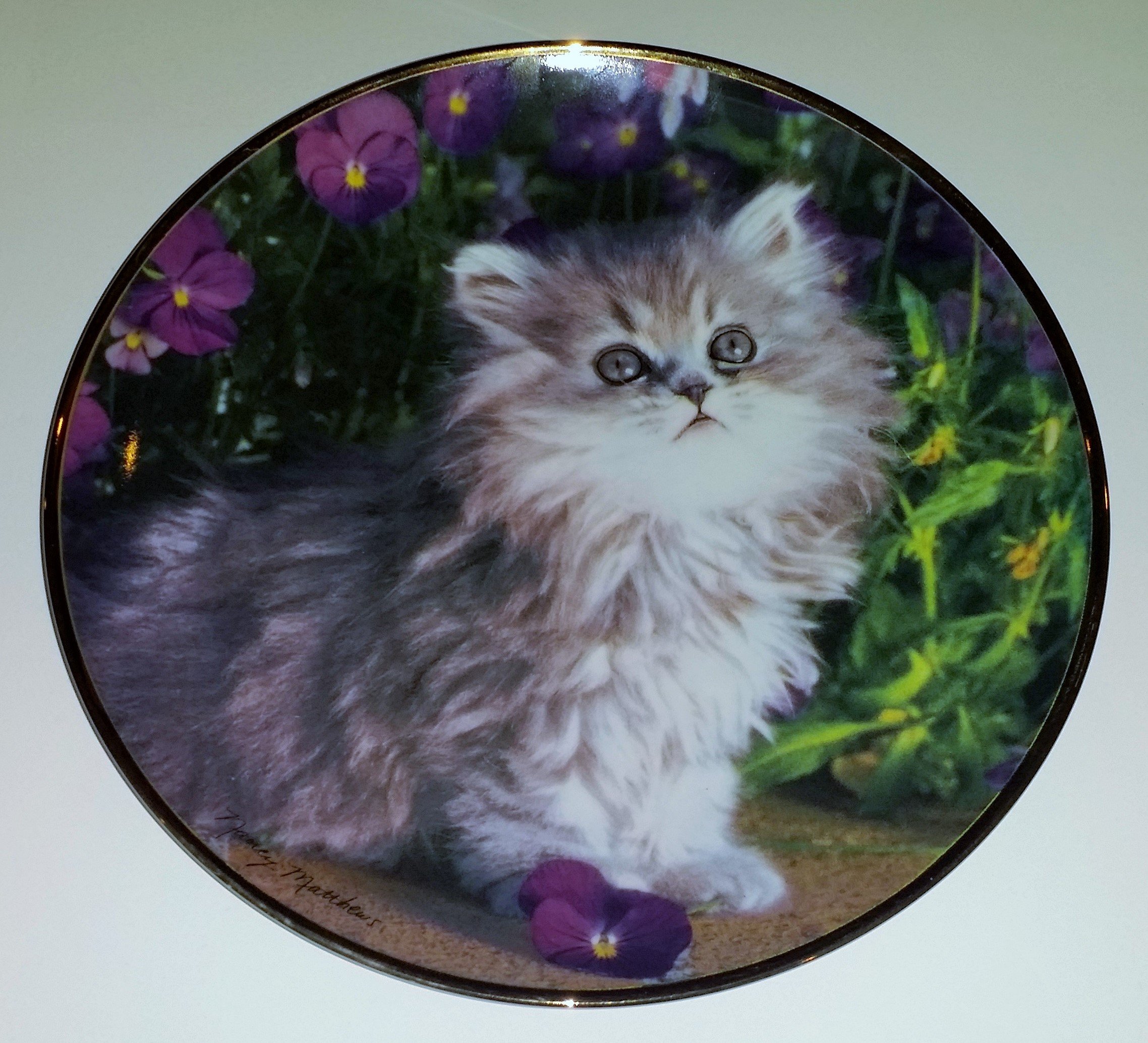 Amazon.com: Franklin Mint Plate: Purrfection by Nancy Matthews