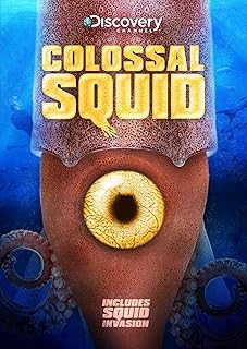 Colossal Squid