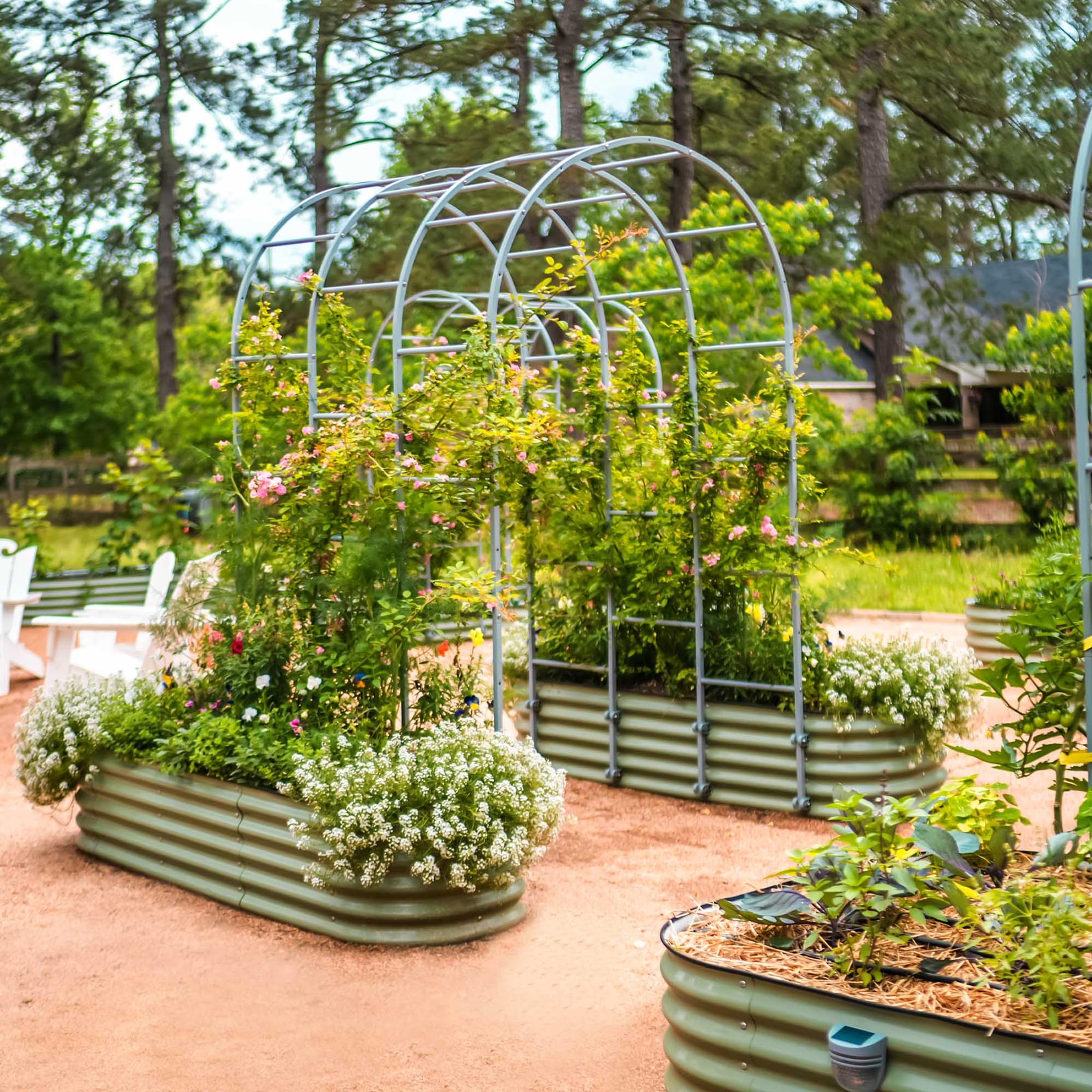 Vego Raised Garden Beds - 8ft x 2ft Metal Planter -8 Vego Raised Garden Beds - 8ft x 2ft Metal Planter -8