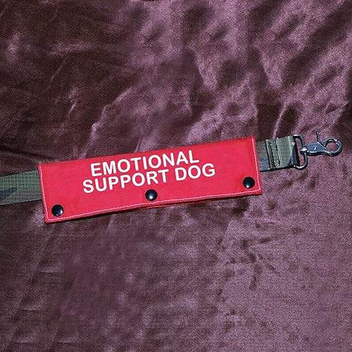 Miniatura 10 de Servicio de terapia con correa para perro, soporte emocional, correa de perro, alerta, parche de identificación colgante, regalo de cumpleaños para