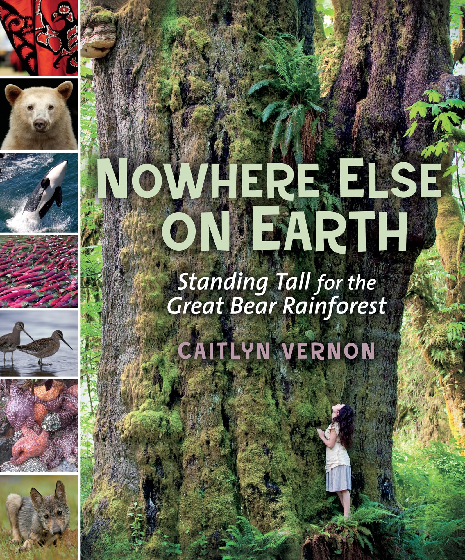 Buy Nowhere Else on Earth: Standing Tall for the Great Bear Rainforest — BookShops.in