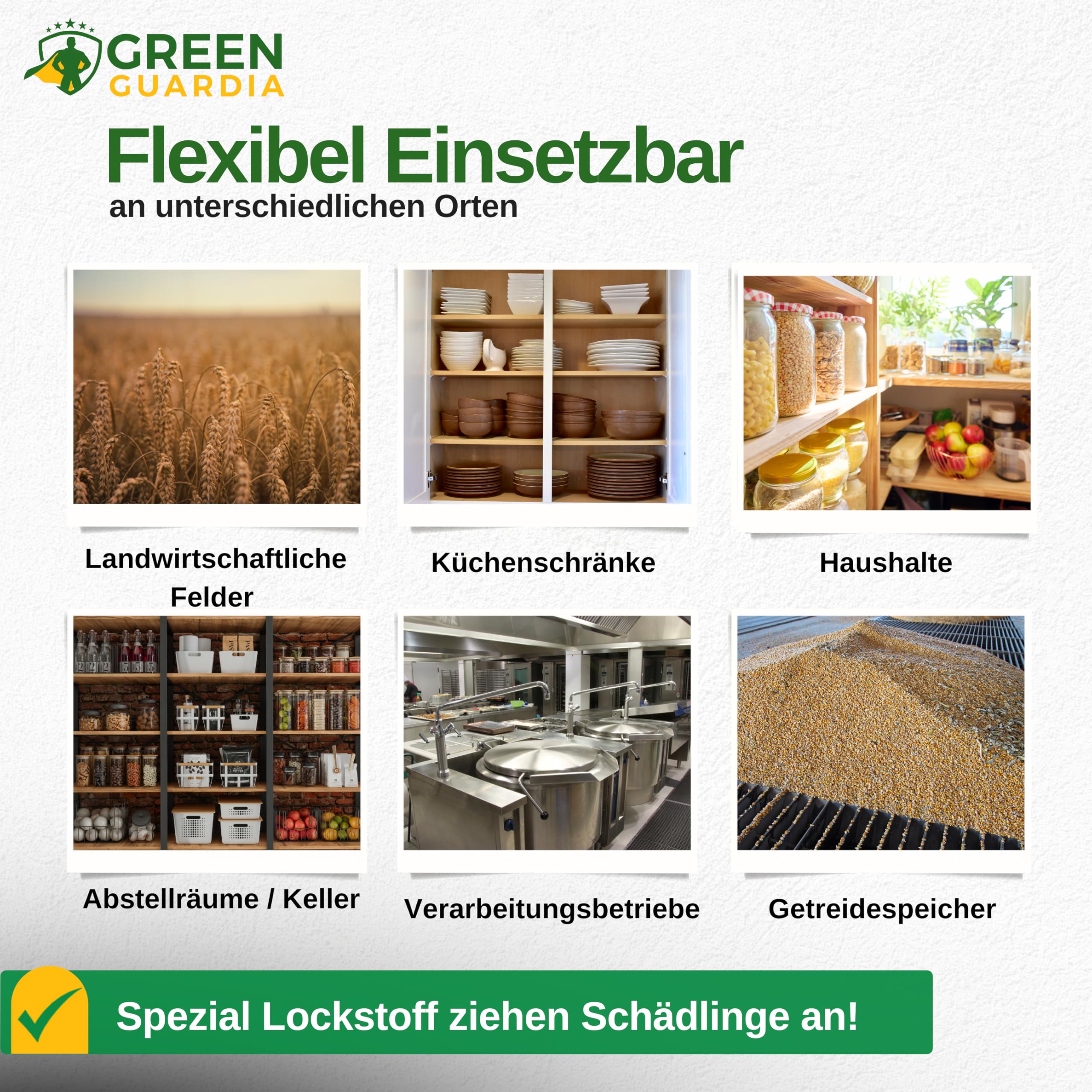 GREEN GUARDIA Lot De 15 Pièges à Charançons à Grains Avec Attractif Spécial - Respectueux De L'environnement - Piège Sans Produits Chimiques Avec Surface Adhésive Puissante - Non Toxique Et Sans Odeur