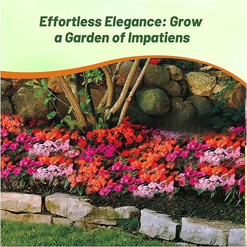 Miniatura 6 de Outsidepride Impatiens - Plantas de flores de jardín de maracuyá para macetas, cestas colgantes, contenedores, cajas de ventana, 150 semillas