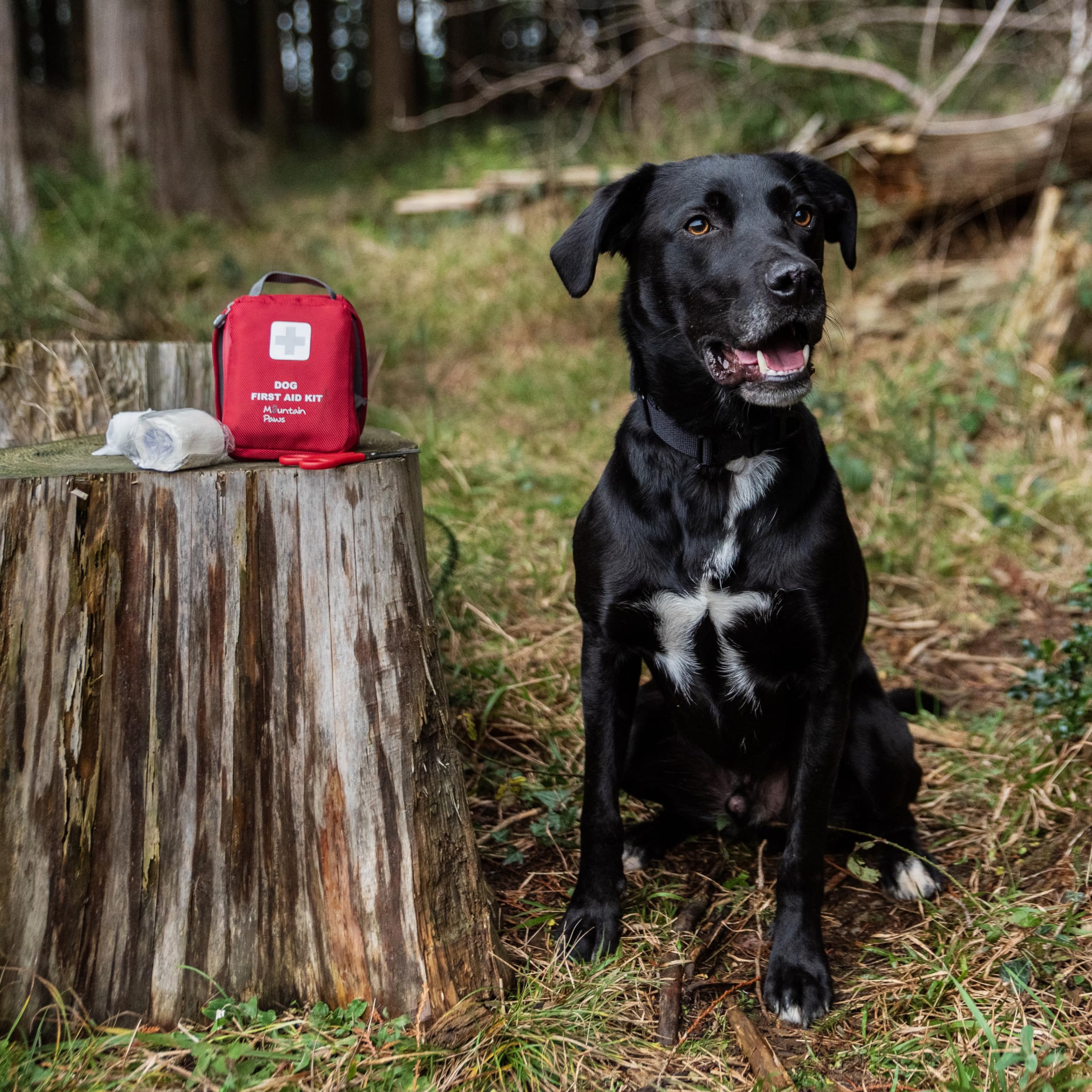 Mountain Paws Kit di Pronto Soccorso Multiuso per Cani da Viaggio, per casa, all'aperto o in Viaggio, Rosso