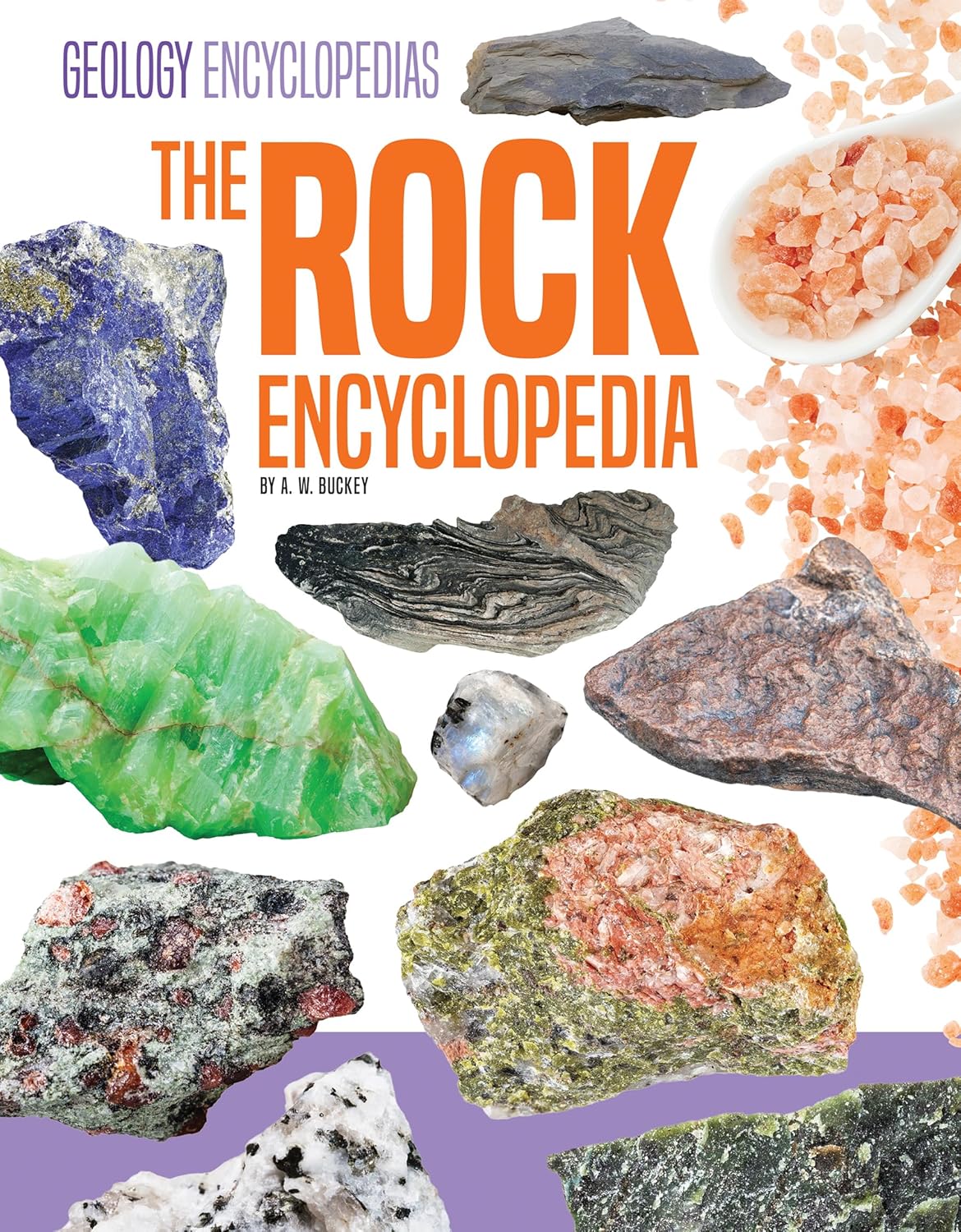Rock Encyclopedia (Geology Encyclopedias)      Library Binding – December 15, 2025