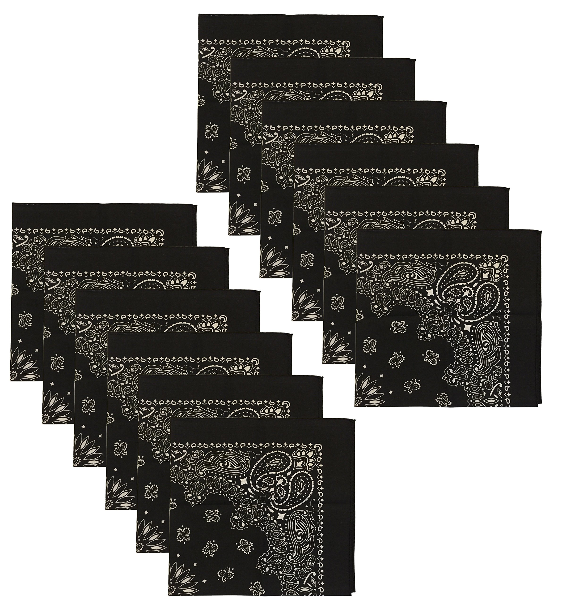 MexARTUSA Made Military Army Trainmen Paisley 22 / Hav A Hank Paisley Bandana Made in USA