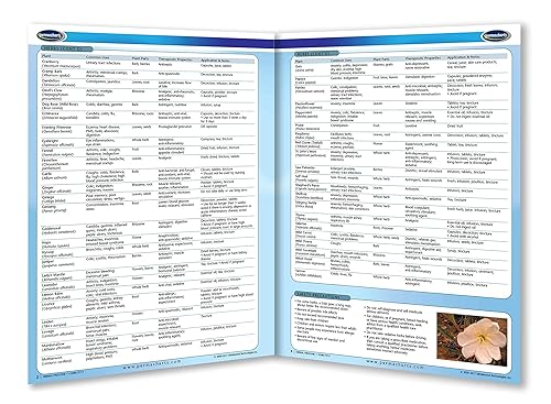 Miniatura 2 de Permacharts Guía de referencia rápida de medicina herbaria - Salud y bienestar holísticos