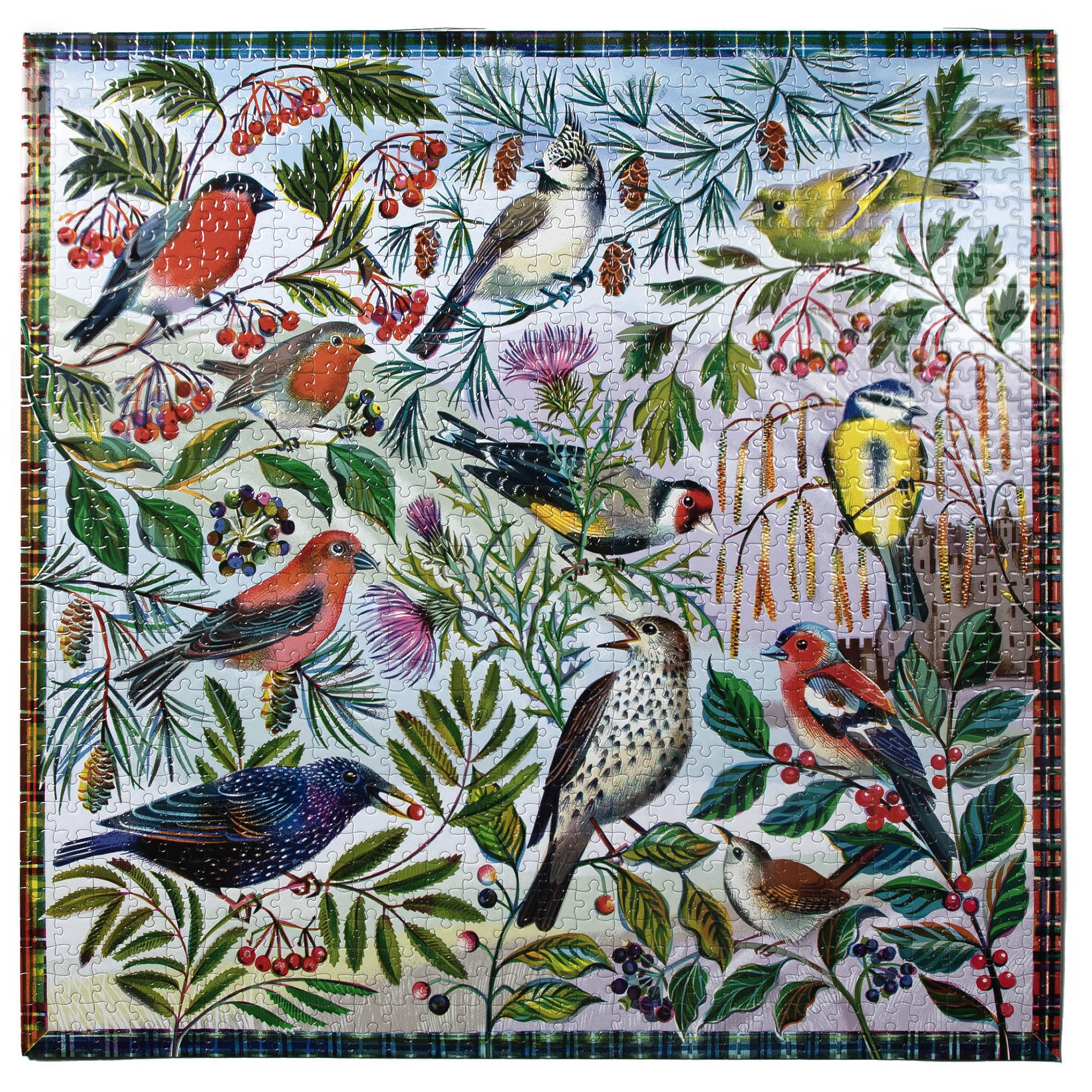 eeBoo 1000 Teile – Die faszinierenden Vögel aus recyceltem Karton – Hochwertiges Puzzle für Erwachsene – PZTBDS