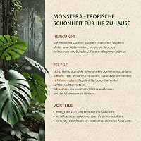ORAGARDEN Monstera Talaj 1L - Beltéri Növények és Kertészeti Föld 5 Komponensű Potting Soil 8