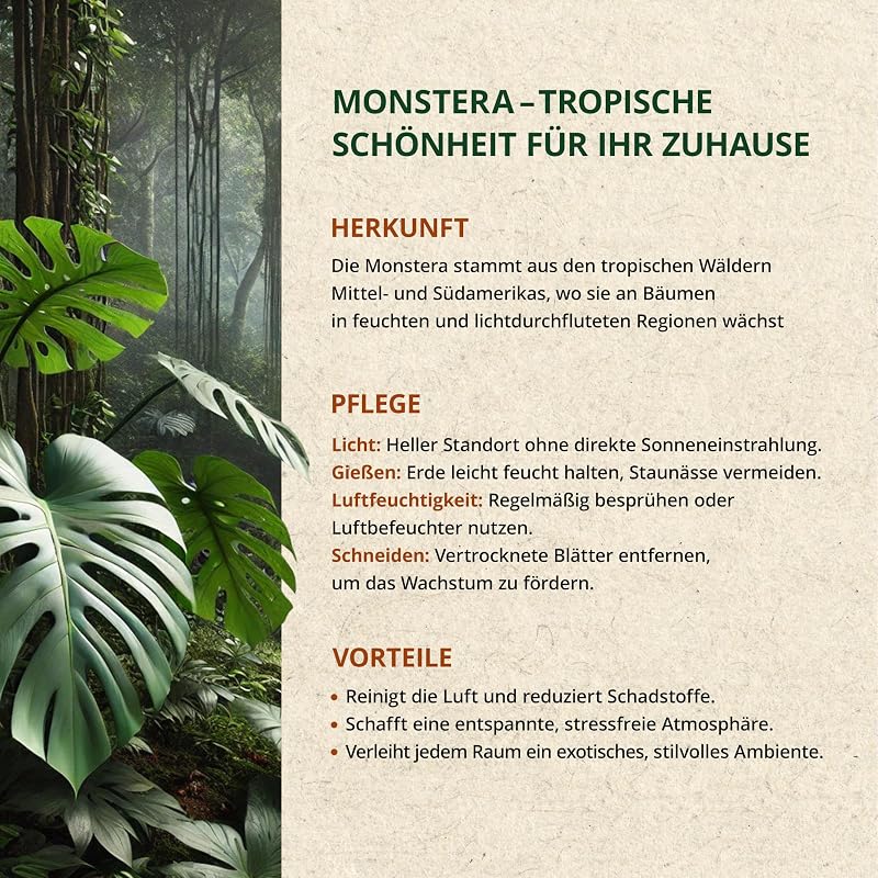 ORAGARDEN Monstera Talaj 1L - Beltéri Növények és Kertészeti Föld 5 Komponensű Potting Soil