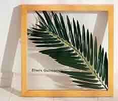 インテリアに映えるギニアアブラヤシのリーフパネル インテリアに映えるギニアアブラヤシのリーフパネル