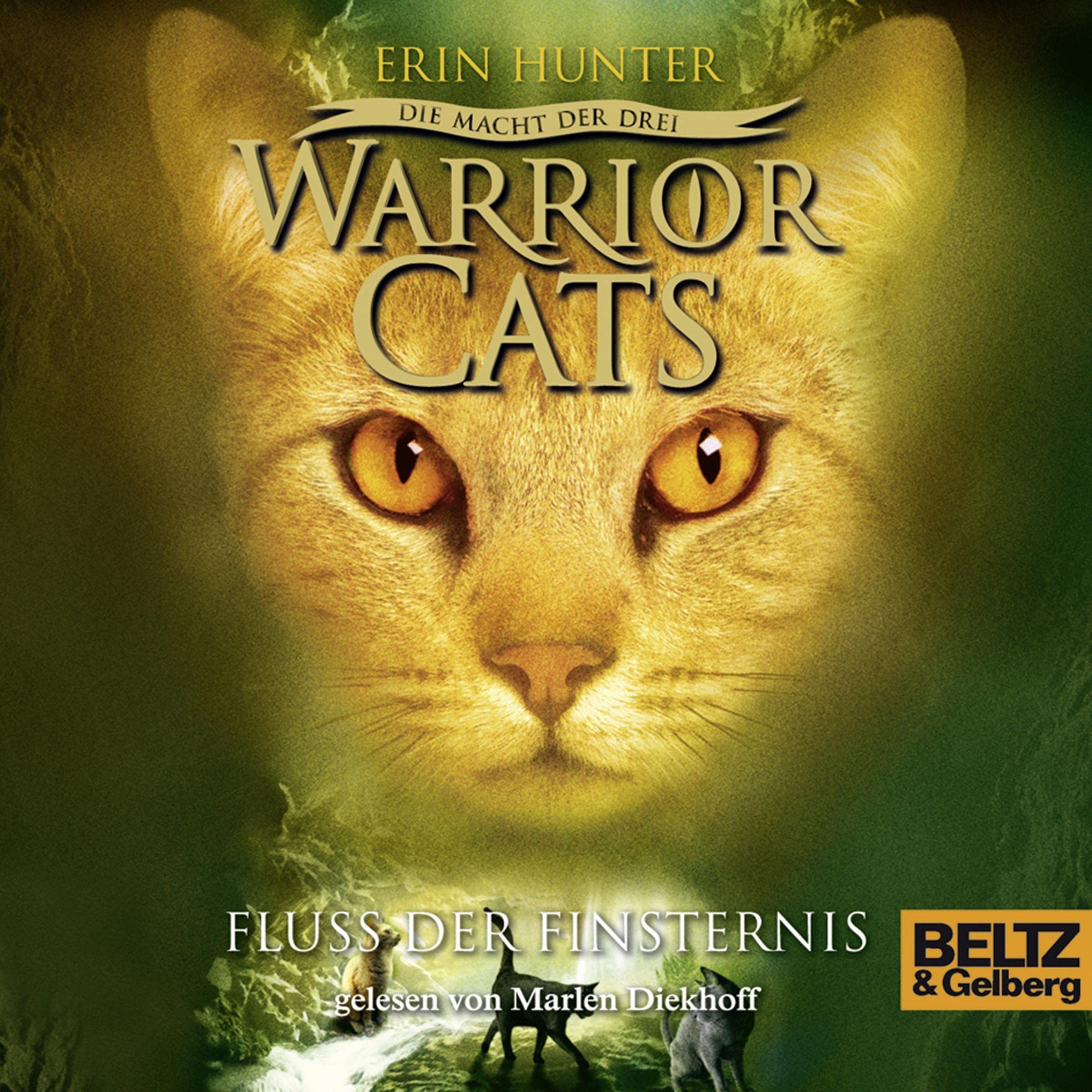 Cover art for Fluss der Finsternis