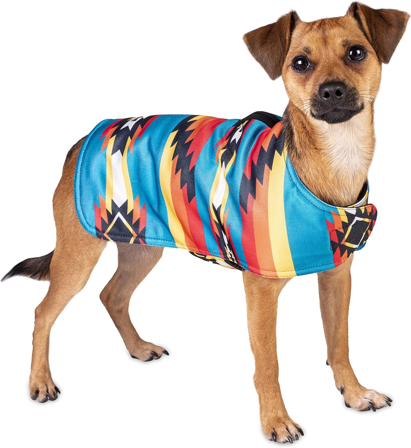 Southwest Dog Poncho BigaMart