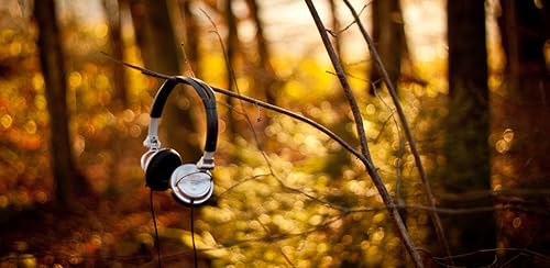 Relaxing Nature Sounds