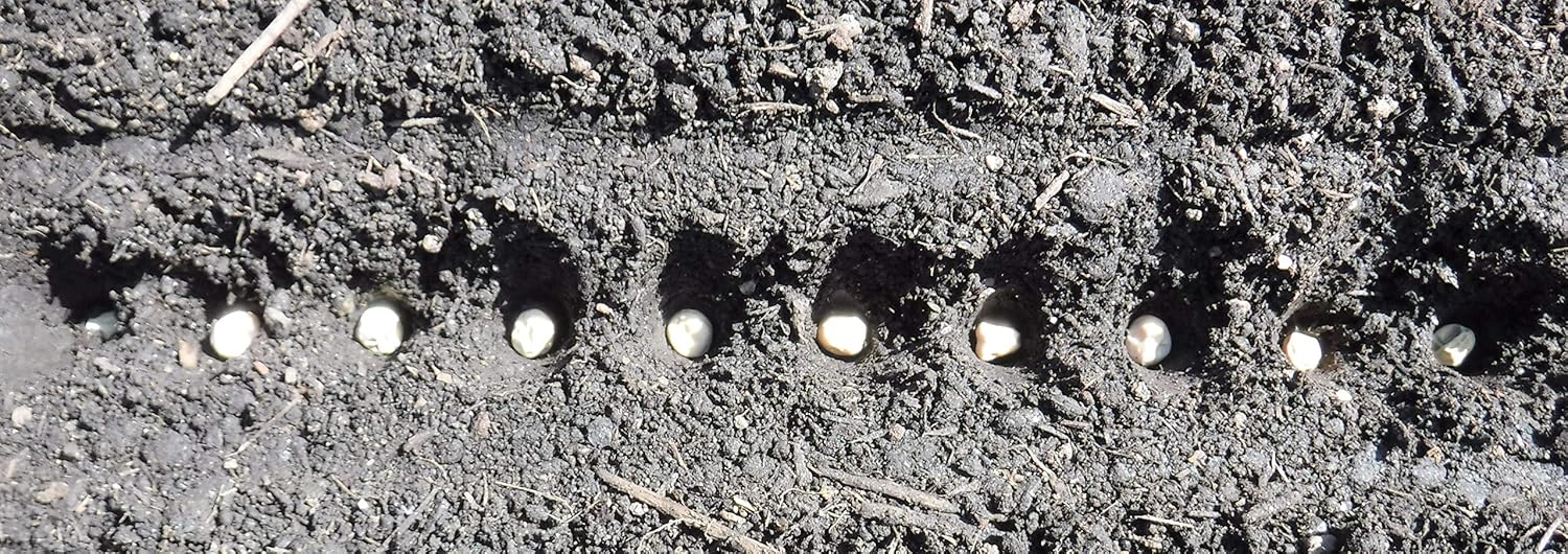 Seed-in Soil Digger and Soil Spacer for Planting Seeds