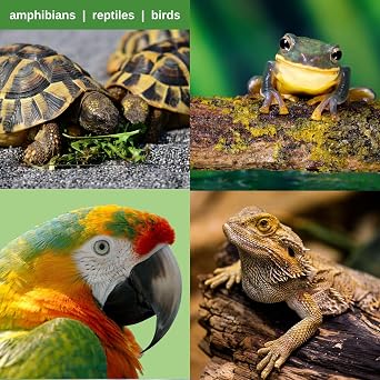 UVA UVB 13w Tropical 5.0 Bulb Ideal for Aquariums/Terrariums with Terrapins, Box Turtles, Frogs, Snakes and Birds - E27 Standard Screw Base - Ideal for Natural Sun Light Effect [Energy Class G]