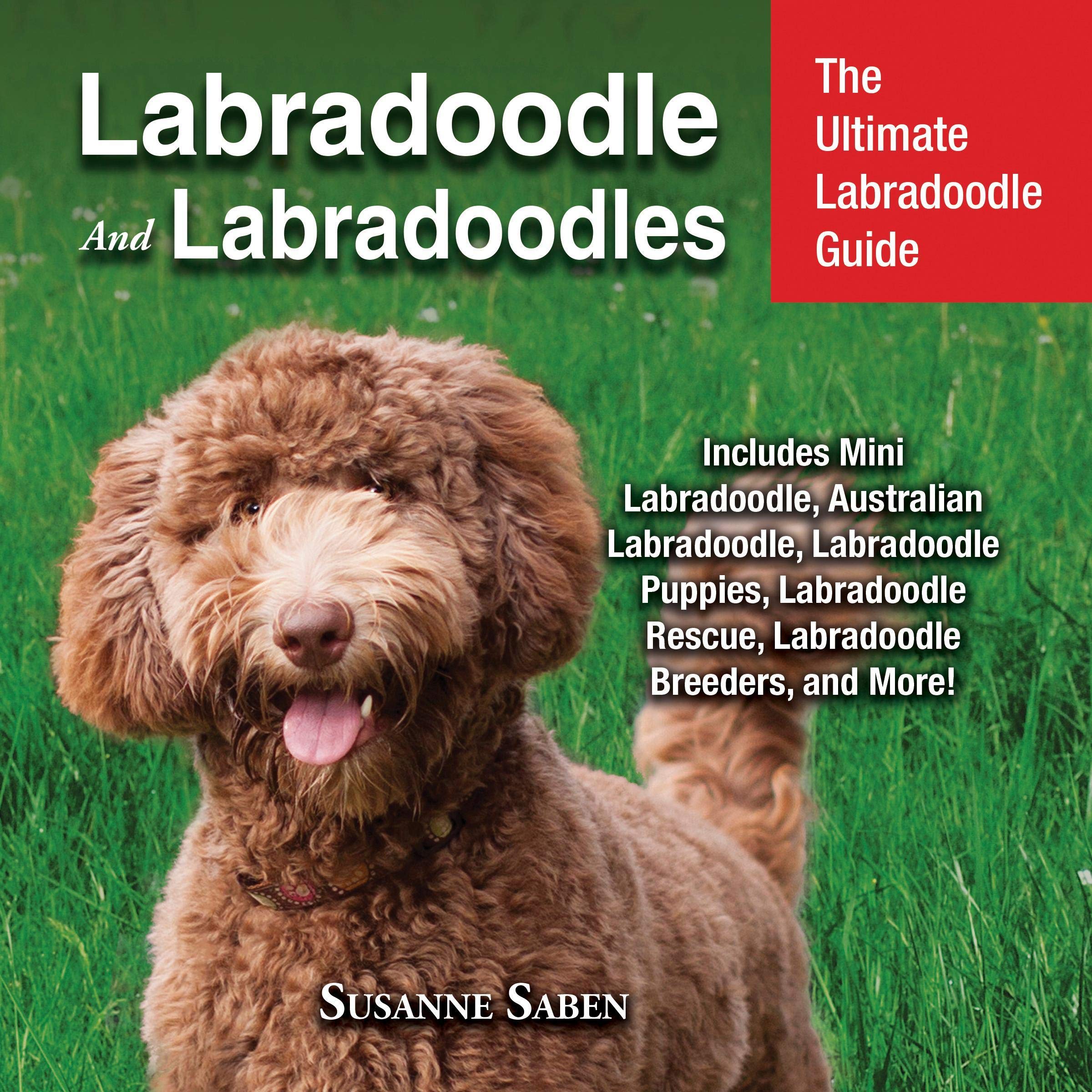 Cover art for Labradoodle and Labradoodles: The Ultimate Labradoodle Guide